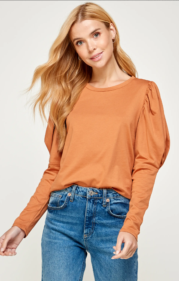 Long Puff Sleeve Top